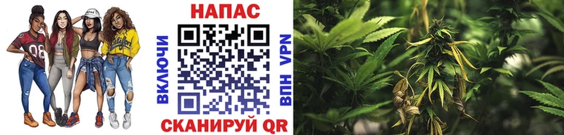 Купить Черкесск Канабис White Widow